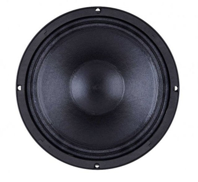 B&C Speakers 10FW64 8/ohm