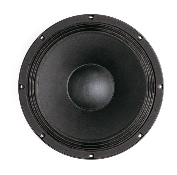 B&C Speakers 12HPL64 8/ohm