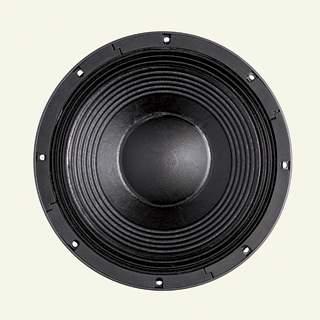 B&C Speakers 12TBX100 4/ohm